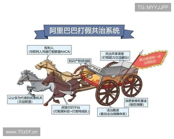 企业家群体崛起与创新驱动:从商业模式到社会责任的全面探索